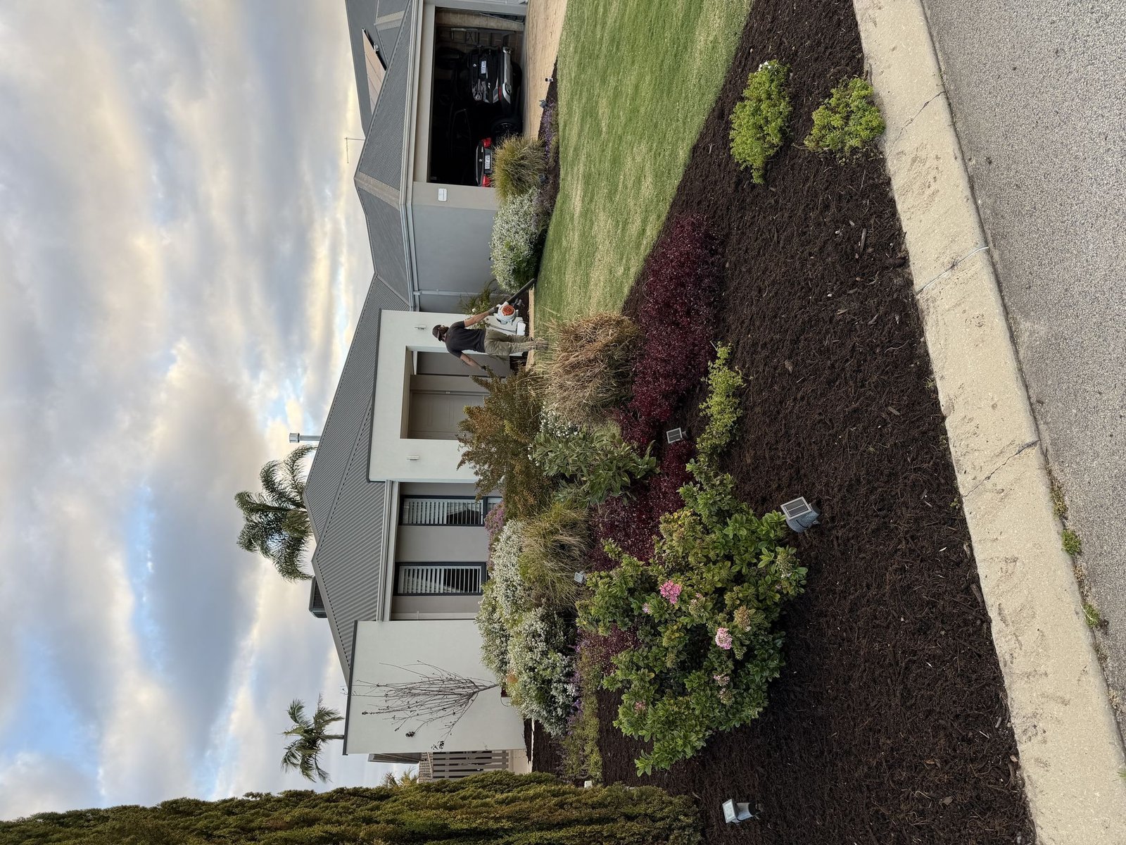 Before: Complete Garden Transformation