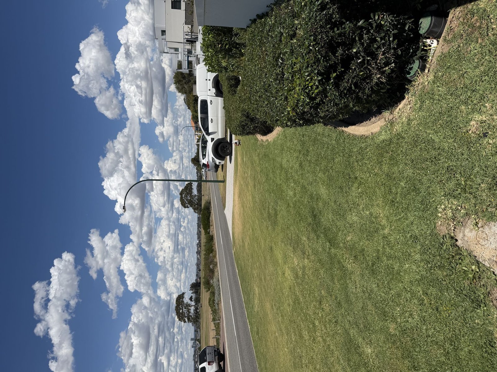 Before: Lawn Renovation to Pristine Green Space