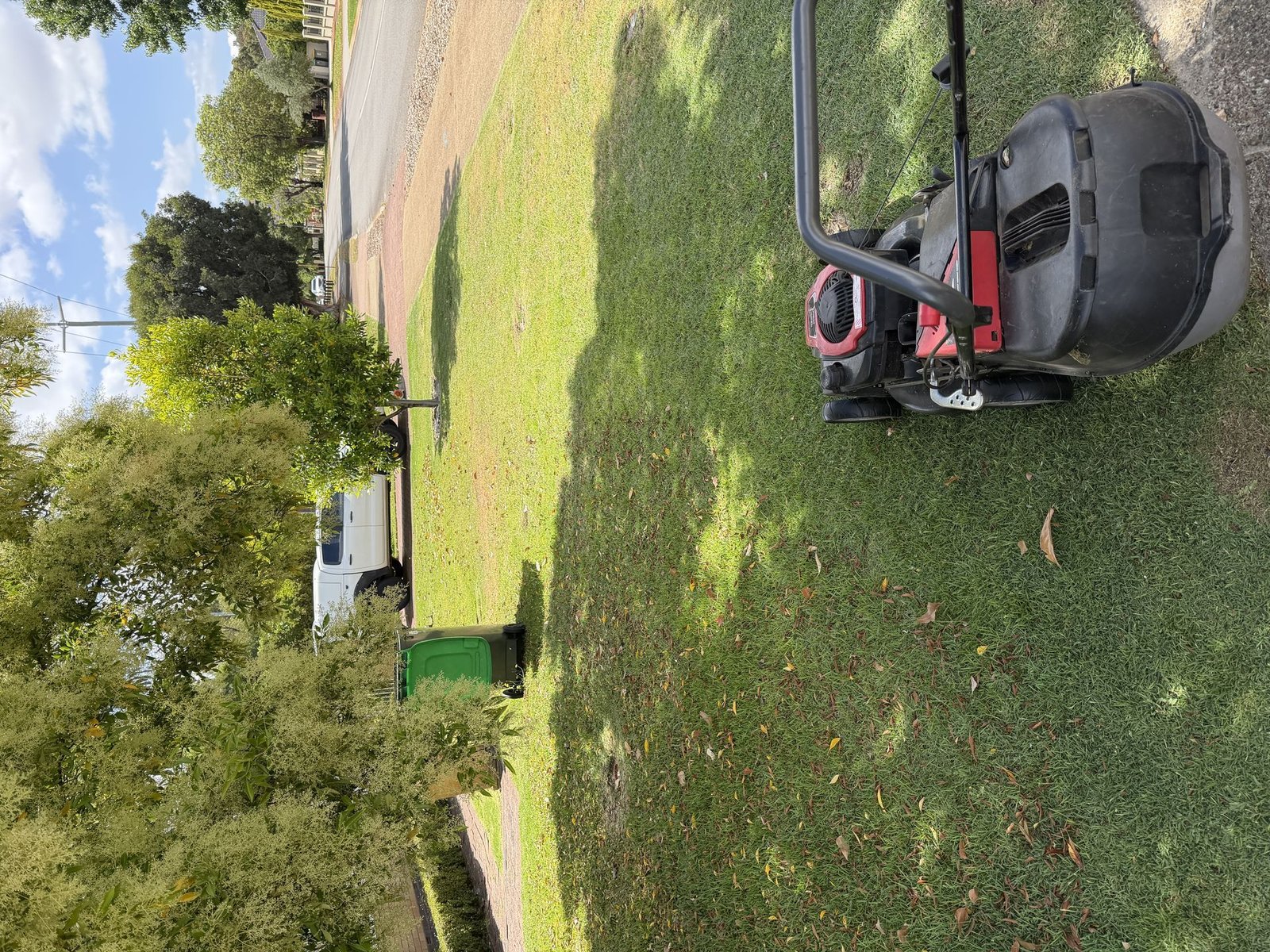 After: Hedge Trimming & Landscaping