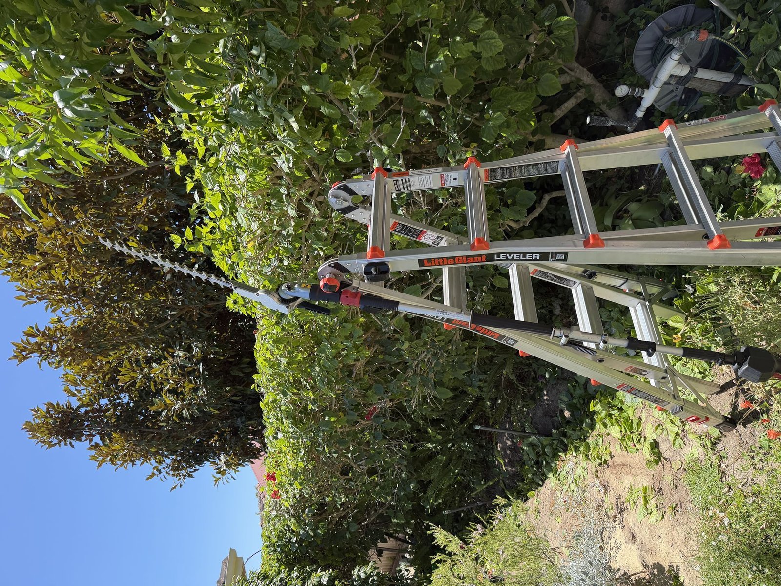 After: Modern Native Garden Installation