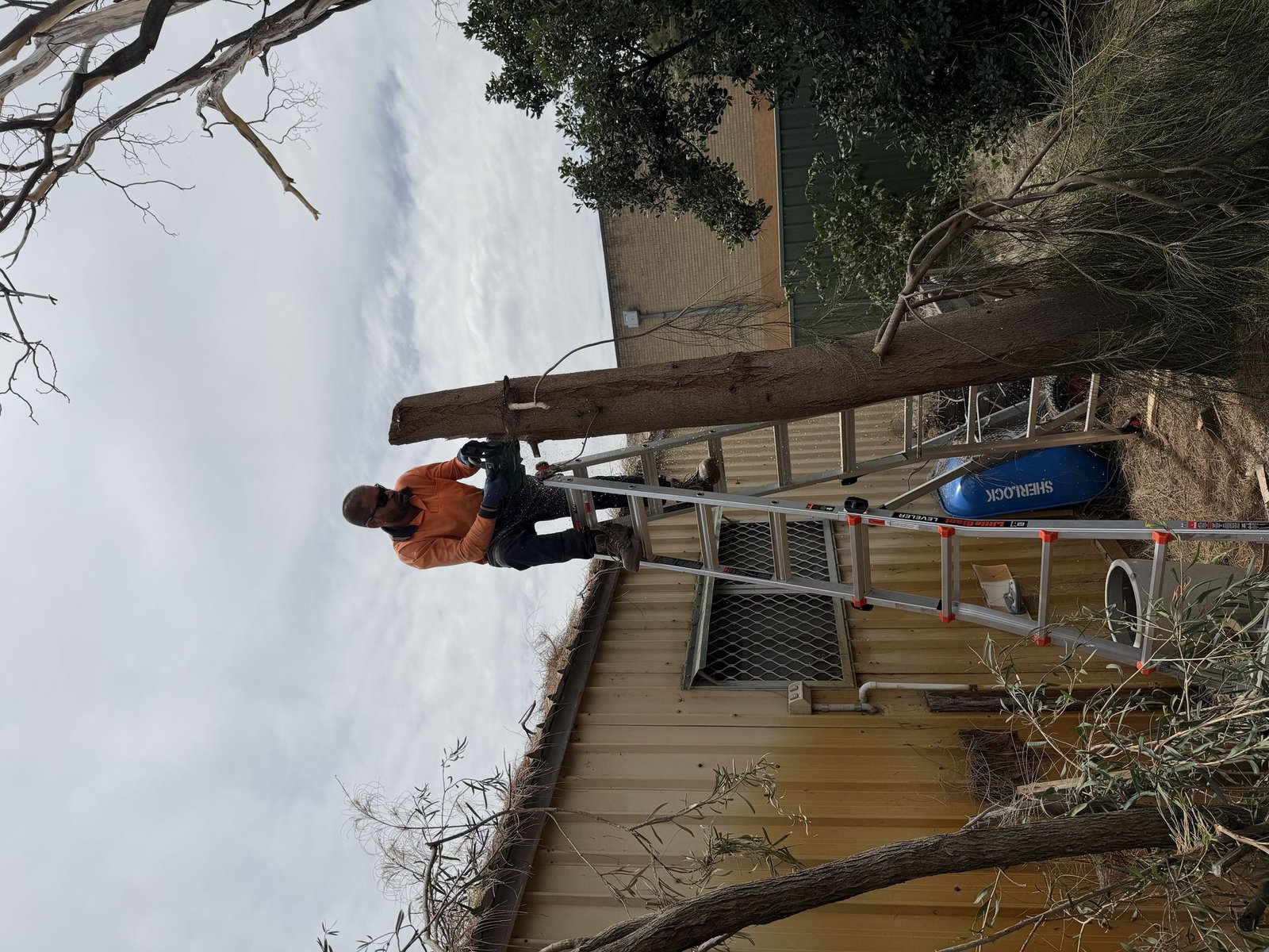 Before: Stump Removal & Garden Refresh