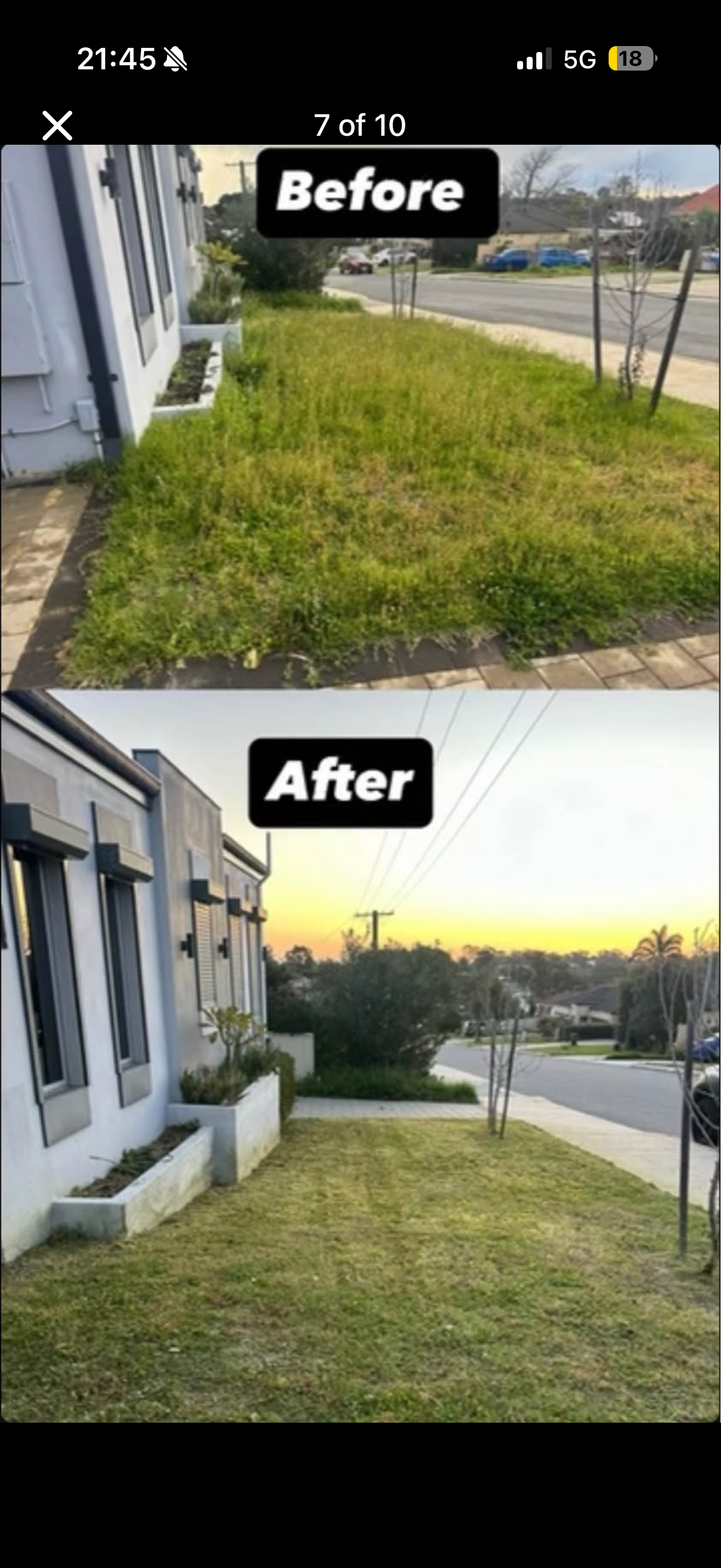 7 Native Plants Perfect for Perth Gardens