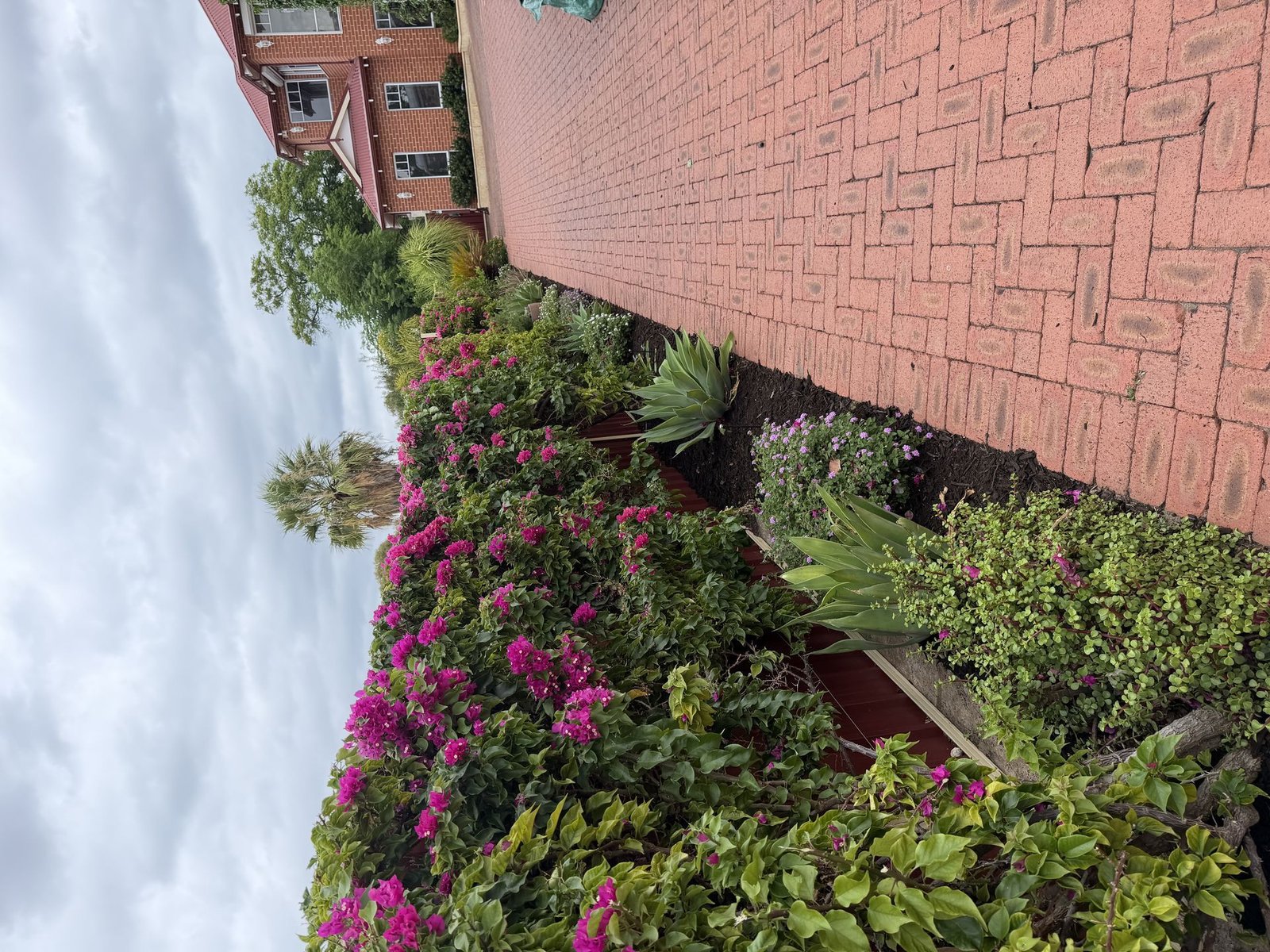 Water-Wise Gardening: Reduce Your Garden's Water Needs